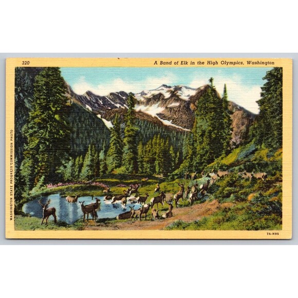 Postcard Washington Band of Elk in the High Olympics Linen c1940s Unposted Lake - Picture 1 of 2